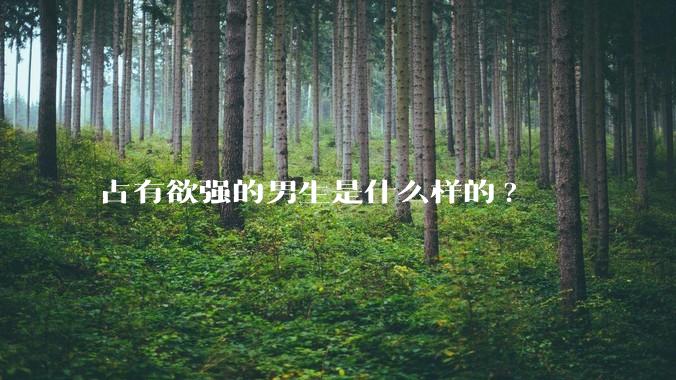 占有欲强的男生是什么样的?