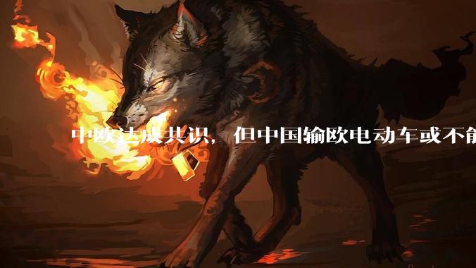 中欧达成共识，但中国输欧电动车或不能低于29万，29万的车在欧洲有竞争力吗？