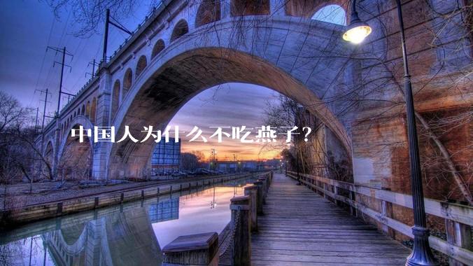 中国人为什么不吃燕子？