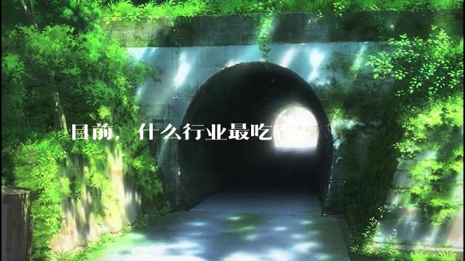目前，什么行业最吃香？