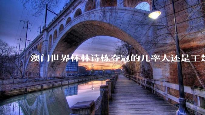 澳门世界杯林诗栋夺冠的几率大还是王楚钦呢？