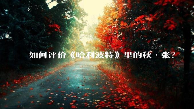 如何评价《哈利波特》里的秋·张？