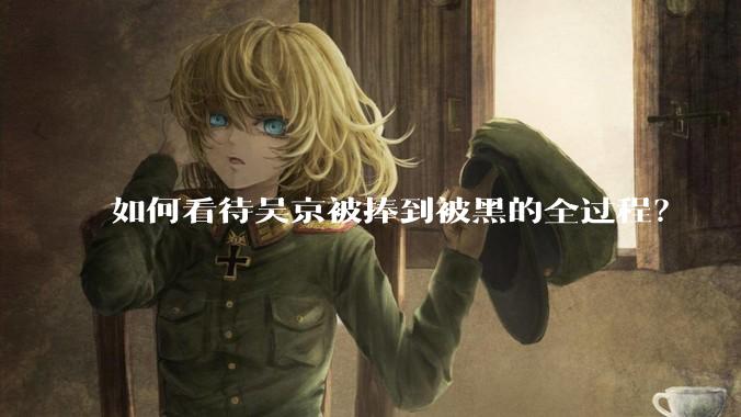 如何看待吴京被捧到被黑的全过程？