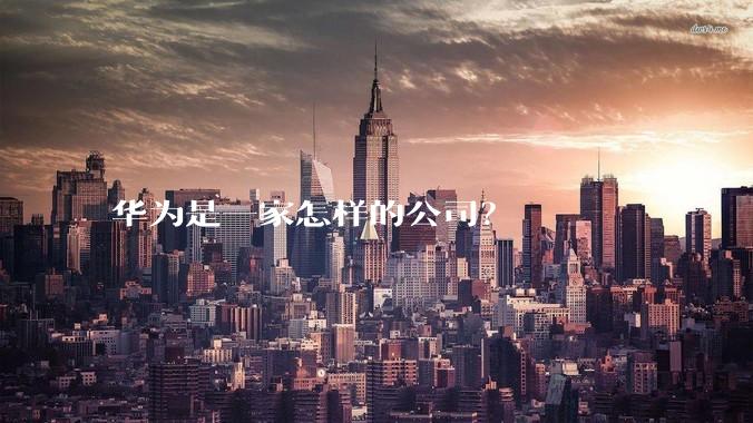 华为是一家怎样的公司？