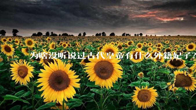 为啥没听说过古代皇帝有什么外籍妃子？