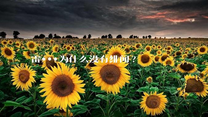 雷***为什么没有绯闻?